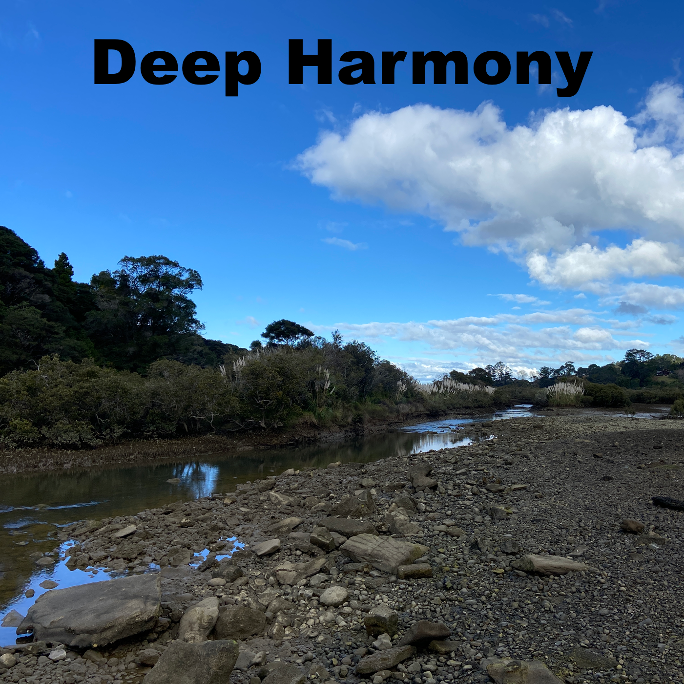 Deep Harmony