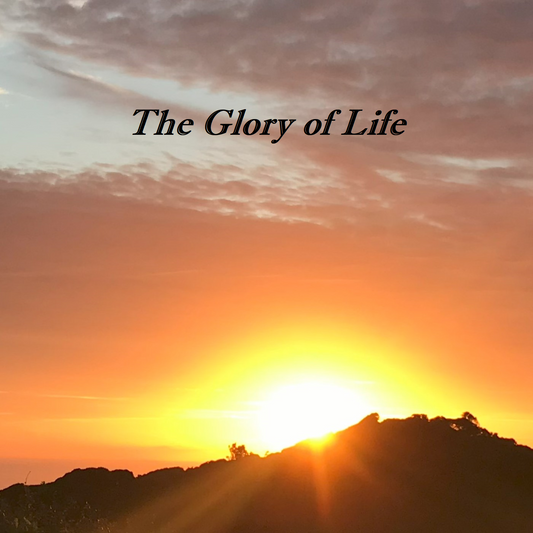 The Glory Of Life
