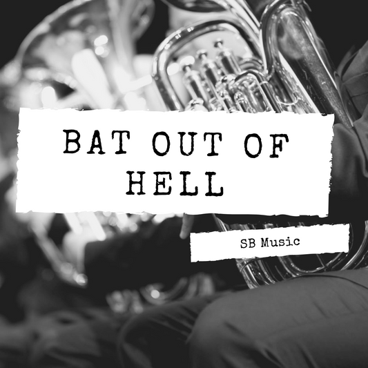 Bat Out Of Hell - Steven Booth 